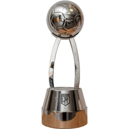 Copa de la Liga Profesional