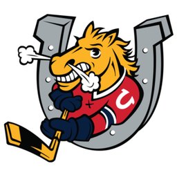 Barrie Colts