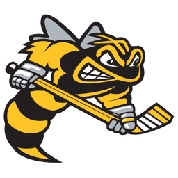 Sarnia Sting