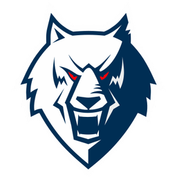 HC Neftekhimik Nizhnekamsk